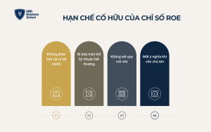small-han-che-va-sai-lam-thuong-gap-khi-dung-chi-so-roe__b2f527ef2768 Hạn chế và sai lầm thường gặp khi dùng chỉ số ROE