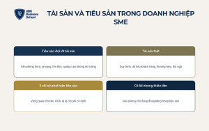 Tài sản và tiêu sản trong doanh nghiệp SME