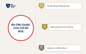 small-ung-dung-chi-so-roe-trong-doanh-nghiep-va-dau-tu__700a94a0efd2 Ứng dụng chỉ số ROE trong doanh nghiệp và đầu tư