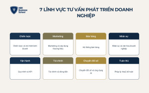 small-7-linh-vuc-tu-van-phat-trien-doanh-nghiep-pho-bien-voi-sme__169f184c6b6e 7 lĩnh vực tư vấn phát triển doanh nghiệp phổ biến với SME
