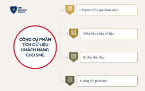 Công cụ phân tích dữ liệu khách hàng cho doanh nghiệp SME