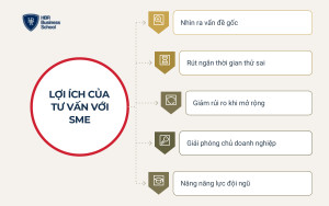 small-loi-ich-cua-tu-van-phat-trien-doanh-nghiep-voi-sme__499468ab9736 Lợi ích của tư vấn phát triển doanh nghiệp với SME