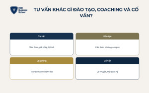 small-tu-van-phat-trien-doanh-nghiep-khac-gi-dao-tao-coaching-va-co-van__c3f18d42bced Tư vấn phát triển doanh nghiệp khác gì đào tạo, coaching và cố vấn?