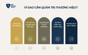 Vì sao doanh nghiệp cần quản trị thương hiệu?